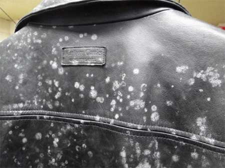 Pintura en el cuero: adiós a las manchas de humedad en la cazadora o el  bolso sin tener que tirarlas